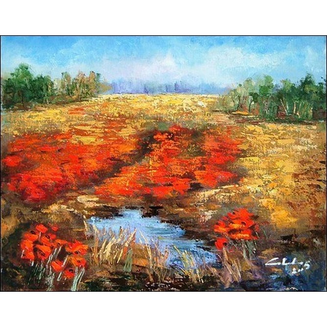 Campo ridente di papaveri